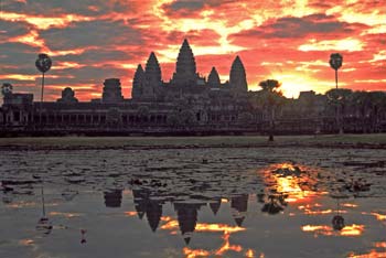 �T�����C�Y