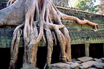 �^�E�v�������@
