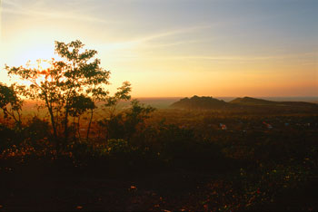 �v�m���E�X�o�C