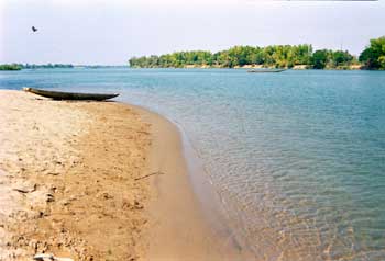 �f�b�g���̃��R����