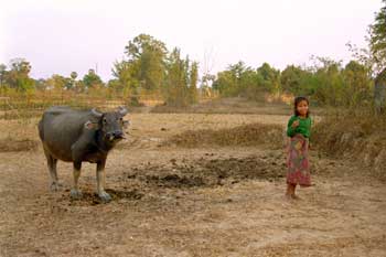 �R�[�����̐���