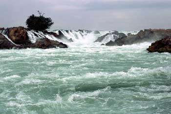 �R�[���p�y���̑�