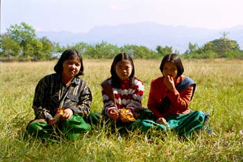 �����ߑ��𒅂�