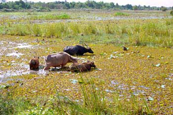 �^�p����