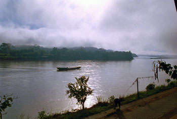 �`�B�F���R���̃��R����@