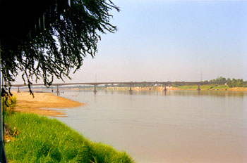 ���R����ɉ˂���F�D���@