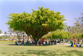 ���C�G�b�g�̌���