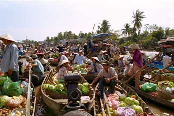 CaiRang�t���[�e�B���O�}�[�P�b�g