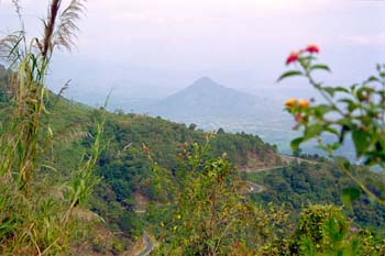 �_���b�g����