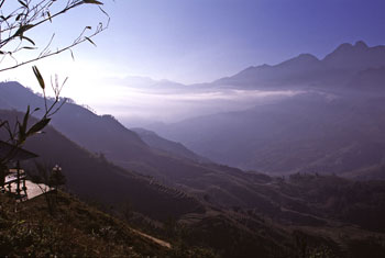 �T�p����